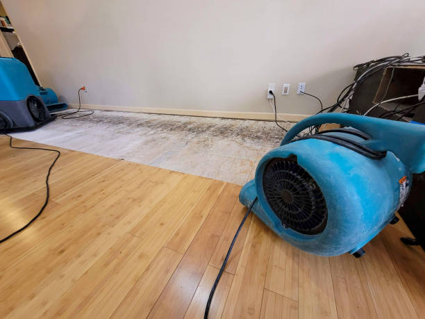Professional Sewage Cleanup technician working in Ridge Spring, SC